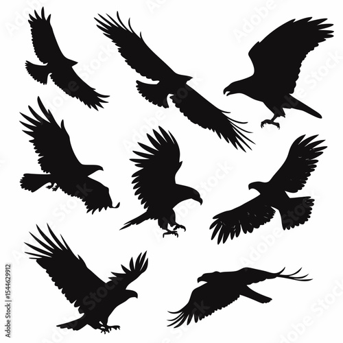 Eagle Silhouette Vector Set – Flying and Perched Bird Shapes