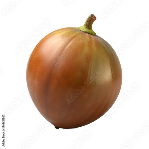 Wallpaper Mural Single Brown Gooseberry, on Black Background Torontodigital.ca