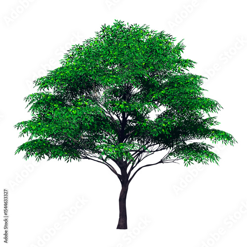 Vibrant Tree of Life: A solitary tree stands tall, its lush green foliage reaching towards the sky, embodying growth, vitality, and the beauty of the natural world.