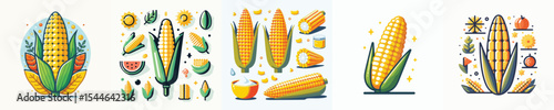 vector of corn