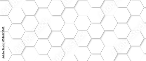 Abstract background with white color hexagons and seamless pattern vector design . luxury white pattern geometric mesh cell texture .honeycomb 3d background texture design .