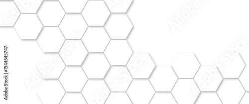 Abstract background with white color hexagons and seamless pattern vector design . luxury white pattern geometric mesh cell texture .honeycomb 3d background texture design .