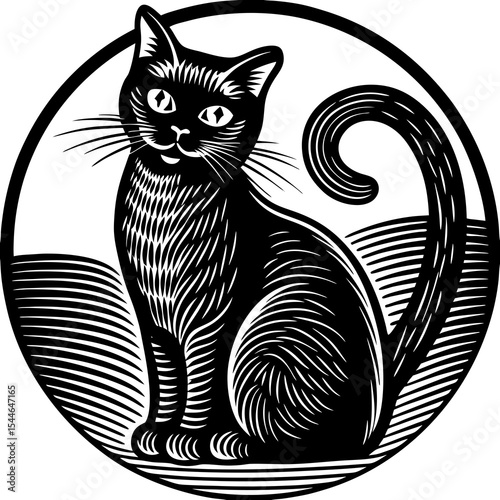 black cat on white background
