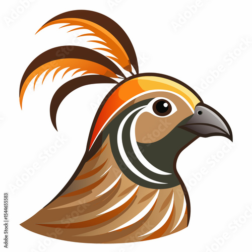 Stylized illustration of a chestnut banded quail head