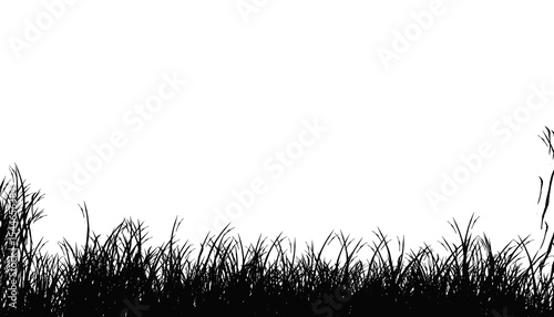 Slika na platnu Dark silhouette of tall grass creates a somber and minimalist, visually striking background