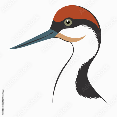 Elegant illustration of a red headed woodpecker