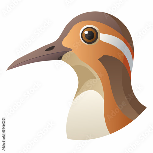 Stylized illustration of a woodcock bird head