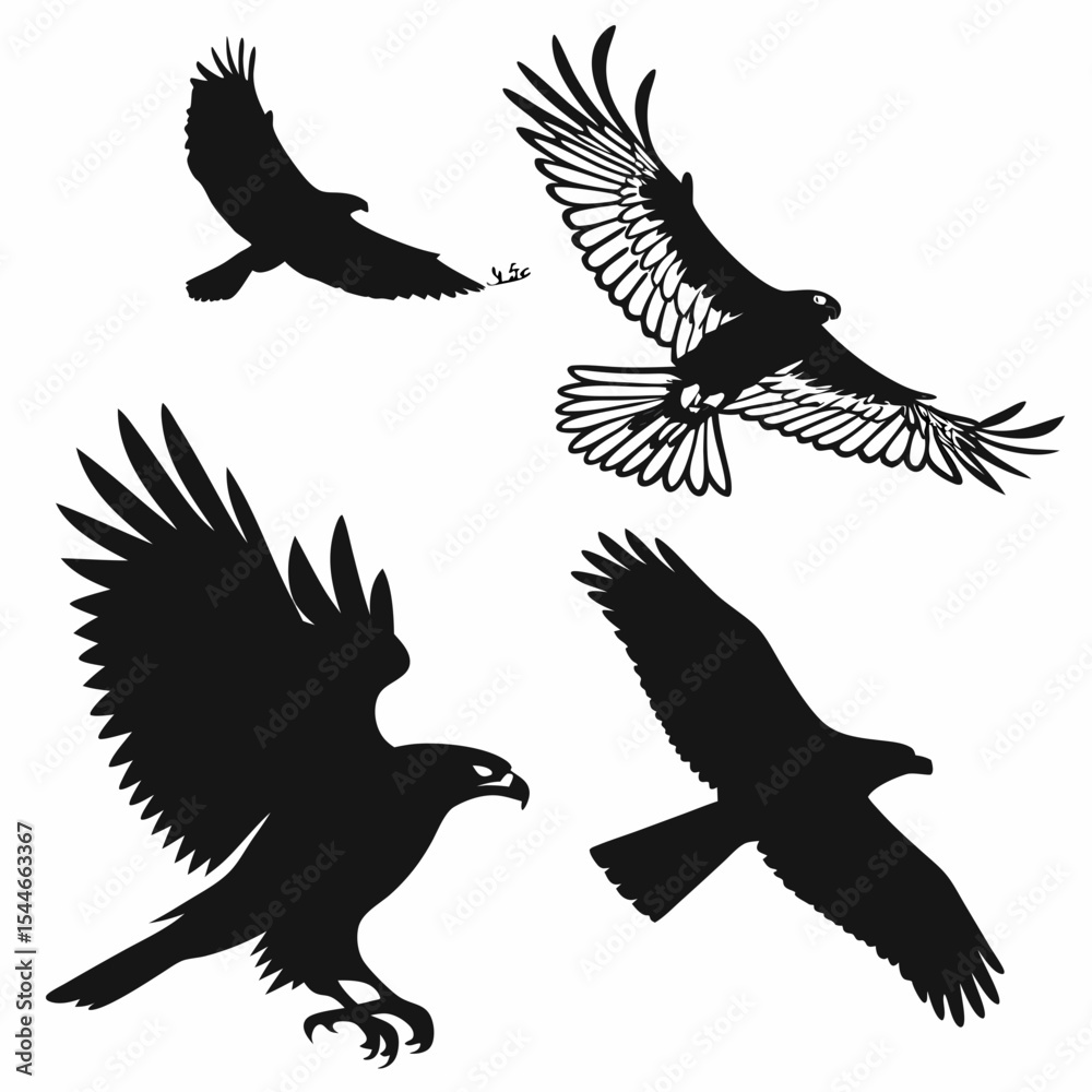 Obraz premium Hawk Silhouette Vector Sheet - Flying and Perched Birds