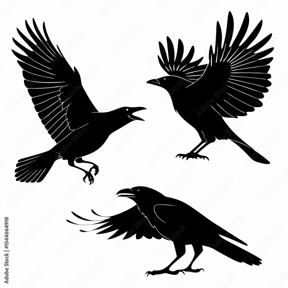 Obraz premium Crow Silhouette Vector Sheet - Minimal Black Bird Silhouettes for Design