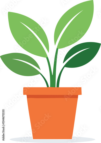 flat vector of indoor plant in a pot, modern design wihte background isolated