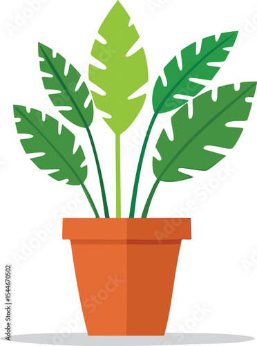 flat vector of indoor plant in a pot, modern design wihte background isolated