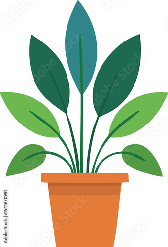 flat vector of indoor plant in a pot, modern design wihte background isolated