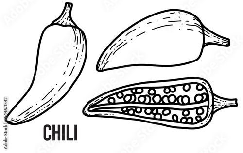 A Set of Black and White Fat Chili Hand Drawings. Vector, Editable. Spicy Food, Packaging Design, Labels
