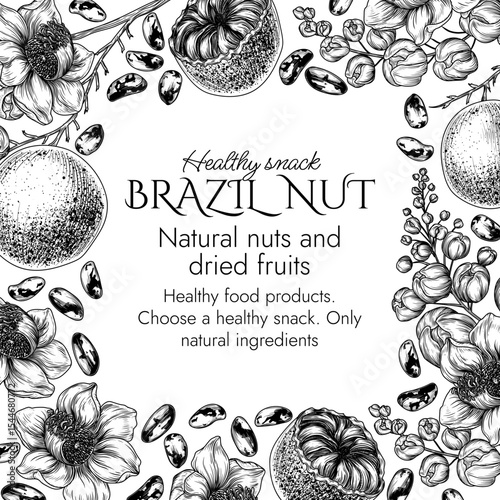  Vector frame with a branch of blooming Brazil nut in engraving style. Graphic banner with nuts on a tree. Template with the healthy snack. Nuts in shell and in cut