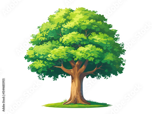 Single green tree with lush leaves, isolated on white, symbolizing nature's summer growth
