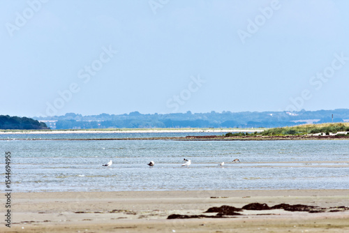Scenery of Insel Poel, Baltic Sea, Germany