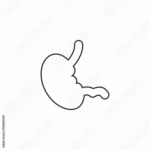 human stomach organ icon sign vector