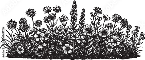 Detailed monochrome illustration of a lush wildflower meadow wit