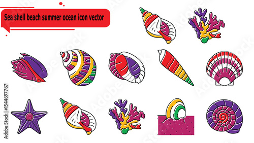 Sea shell beach summer ocean icon vector