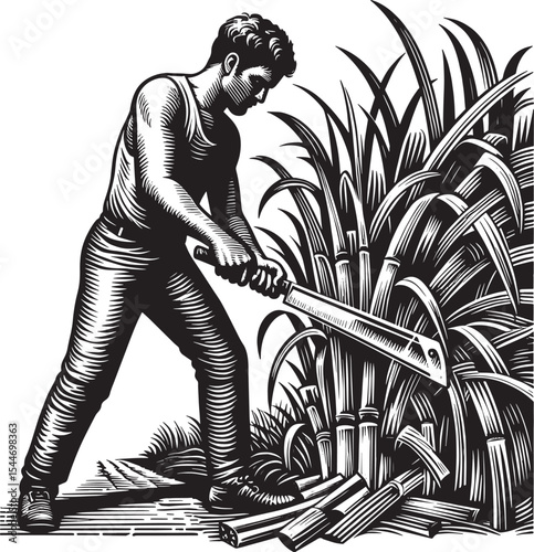 Monochromatic depiction of a sugarcane harvest with a machete in