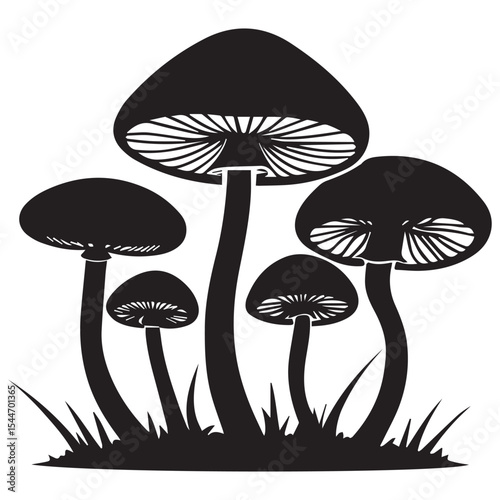 Silhouette of four mushrooms in grass