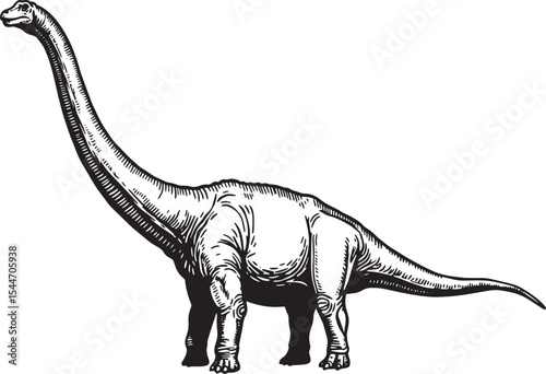 Detailed Black and White Illustration of a Brachiosaurus Dinosau