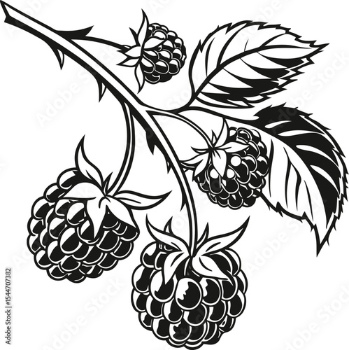 Seamless vector pattern of ripe summer berries with leaves and floral decoration
