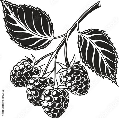 A vibrant vector illustration of ripe grapes and berries on a vine, featuring a sweet and healthy fruit design