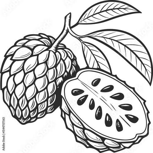 Vector illustration of a healthy apple fruit with leaves, a natural food drawing