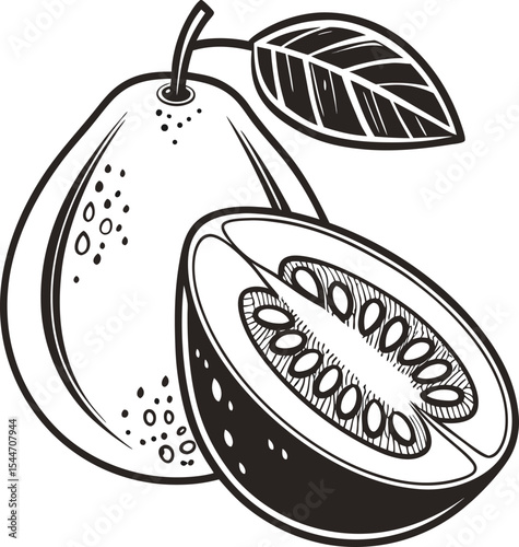 Fresh and juicy fruit vector illustrations, including apple, pear, and ripe melon, perfect for healthy food and nature designs