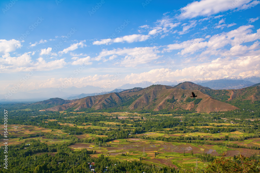 Fototapeta premium Aerial View from Titanic View Point in Kashmir – Verdant Farmlands, Rolling Hills, Flying Bird, and Majestic Himalayan Mountains under Cloud-Filled Blue Sky