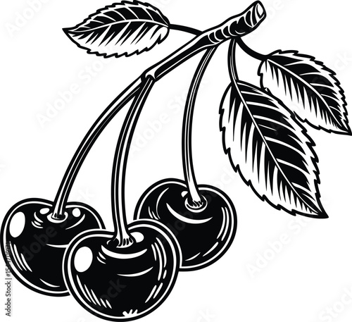 Sweet, ripe red cherries with green leaves, a fresh and delicious fruit vector illustration
