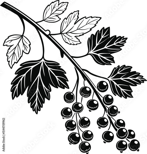 A monochrome branch with leaves and clusters of grapes forms a natural, decorative pattern, illustrating the serene growth of the plant through all seasons