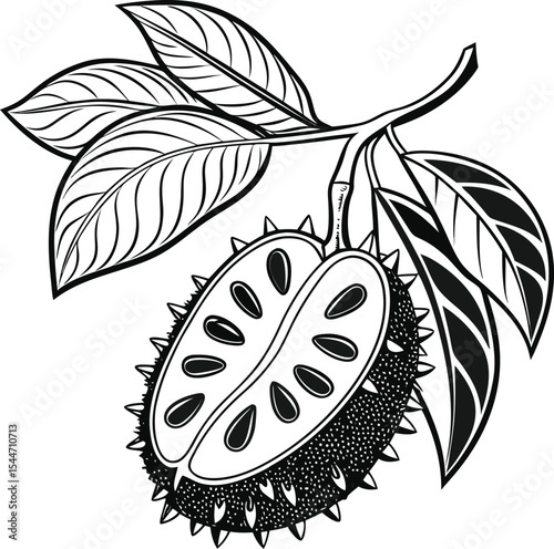 Fresh apple and pear vector illustration, a healthy organic fruit design with green leaves