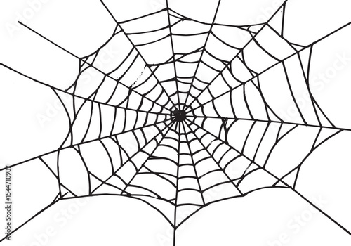 Detailed Black and White Hand-Drawn Spiderweb Illustration on Wh