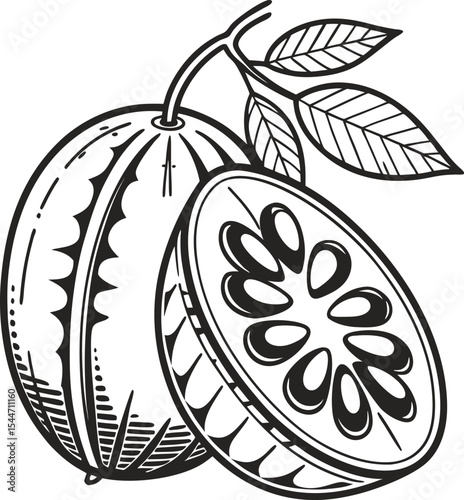 Red vector illustration of a fresh apple fruit with green leaves, symbolizing healthy nature's sweet harvest