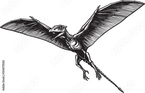Detailed black and white illustration of a Pterodactyl in flight