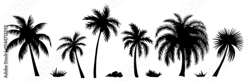 Palm tree black silhouettes set. Monochrome hand drawn vector illustrations isolated on transparent background