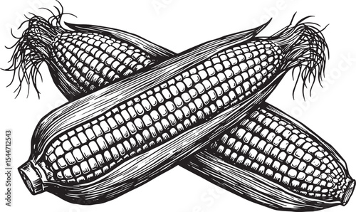 Detailed black and white illustration of two intertwined ears of