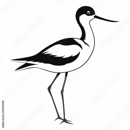 Pied avocet bird silhouette illustration isolated on white background