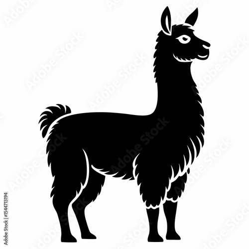 Llama silhouette standing profile isolated on white background