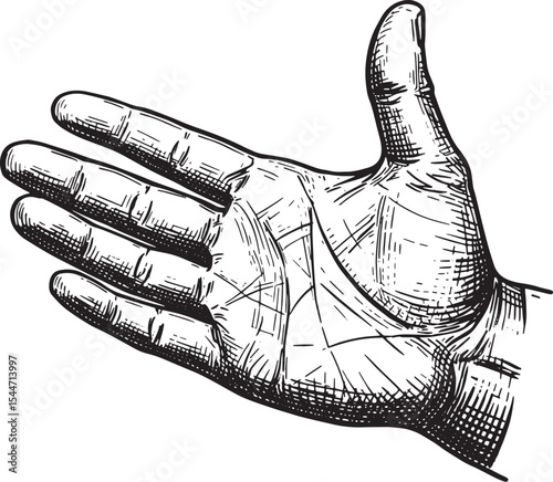 Detailed Hand Drawing in Black and White with Emphasis on Palmis