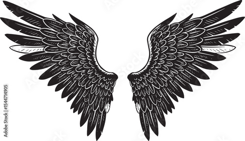 Detailed Black and White Illustration of Angel Wings Isolated on