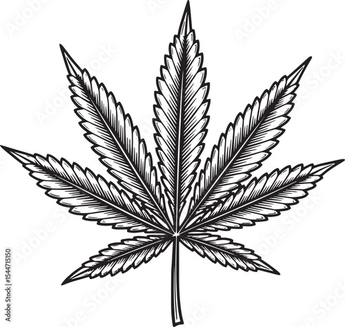 Detailed Black and White Illustration of a Cannabis Leaf Isolate