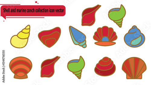 Shell and marine conch collection icon vector