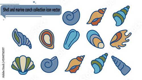Shell and marine conch collection icon vector