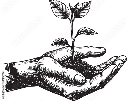 Hand Holding a Plant, Symbolizing Growth, Nature, and Environmen