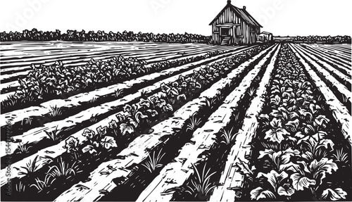 Black and White Illustration of a Farm with Rows of Crops and a