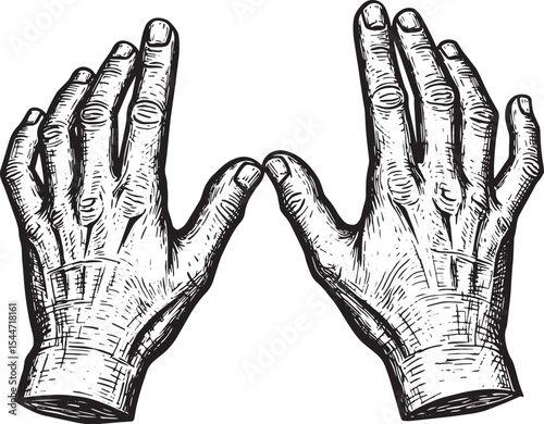 Detailed Hand Drawn Illustration of Two Hands Raised Upward in B