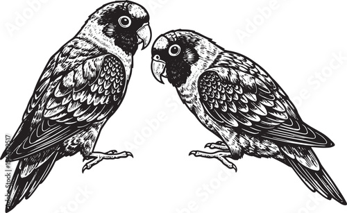 Intricate Pen and Ink Illustration of Two Birds in Detailed Blac